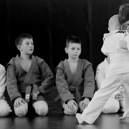 Chevalier Panorama Jablunyzja