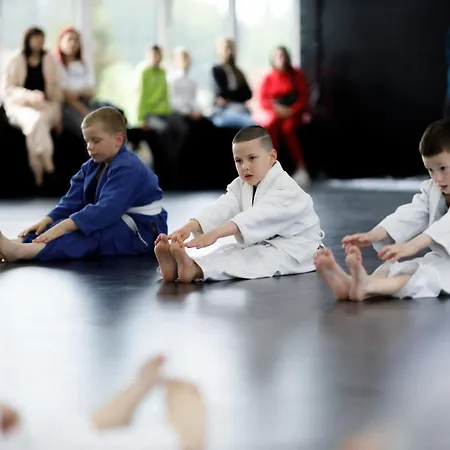 Chevalier Panorama 호스텔 *